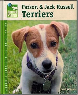 Parson & Jack Russell Terriers