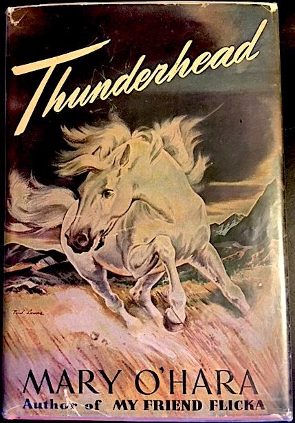 thunderhead book series thunderhead book series