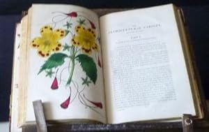 The Floricultural Cabinet, and florists' Magazine January to December, 1848 Volume IV