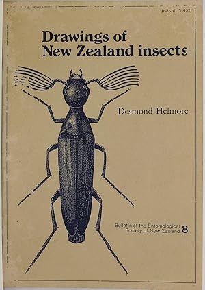 Drawings of New Zealand Insects