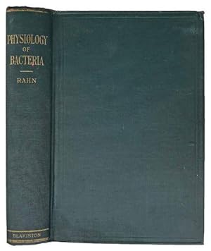 Rahn Otto Abebooks - 