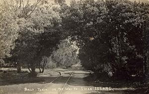 View of Trolly Track on Way to Swan Island Victoria