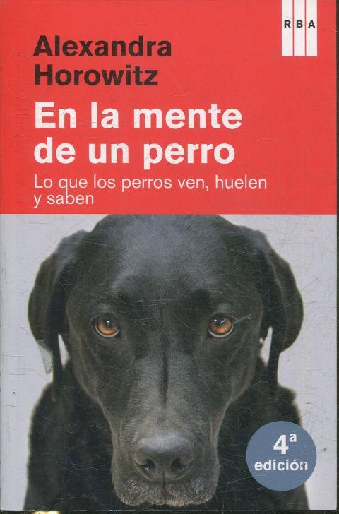 En La Mente De Un Perro Los Perros Que Ven Huelen Y Saben - 