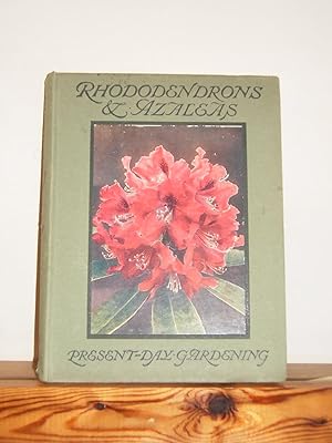 Rhododendrons & Azaleas