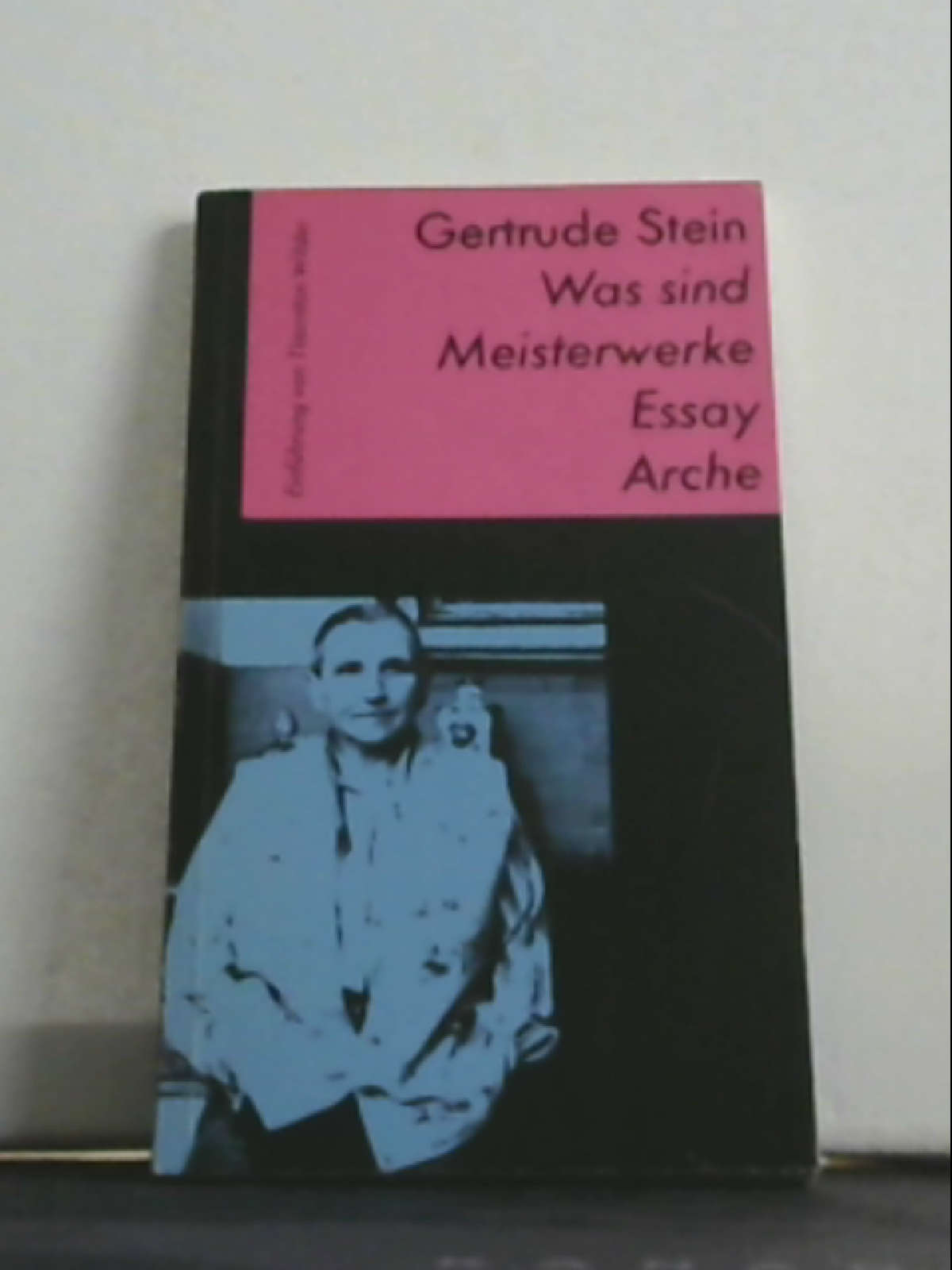 Was sind Meisterwerke: Essay Stein, Gertrude; Wilder, Thornton und Stiebel, Marie A - Gertrude Stein