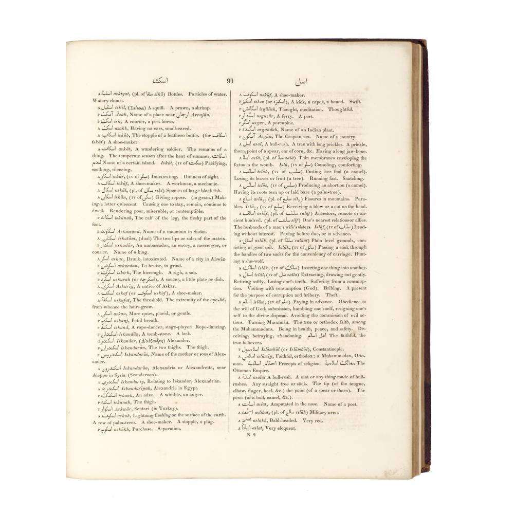 Dissertation dictionary