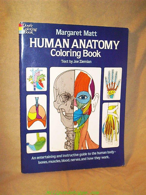 Human Anatomy Coloring Book By Matt Margaret