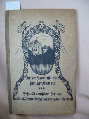 Aus des Frankenlandes heiligen Gauen: Kriegserzählungen von Kriegsskizzen / von Frhr. von Sturmfe...