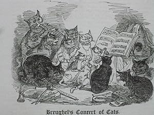 Breughel's Concert of Cats