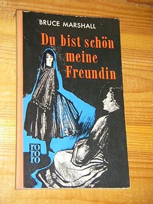 Du bist schön meine Freundin (rororo Leinenrücken)