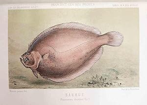 Les tentes dhiver pour la pêche le cube helios