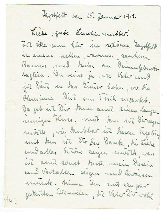 25 St/ück 30,5 cm Schwarz Papier-Innenh/üllen