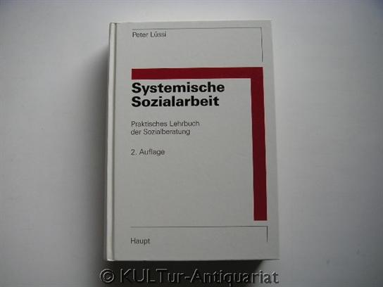 Systemische Sozialarbeit. Praktisches Lehrbuch der Sozialberatung