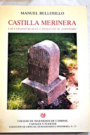 Castilla merinera: Las canadas reales a traves de su toponimia (Coleccion de ciencias, humanidades e ingenieria) (Spanish Edition)