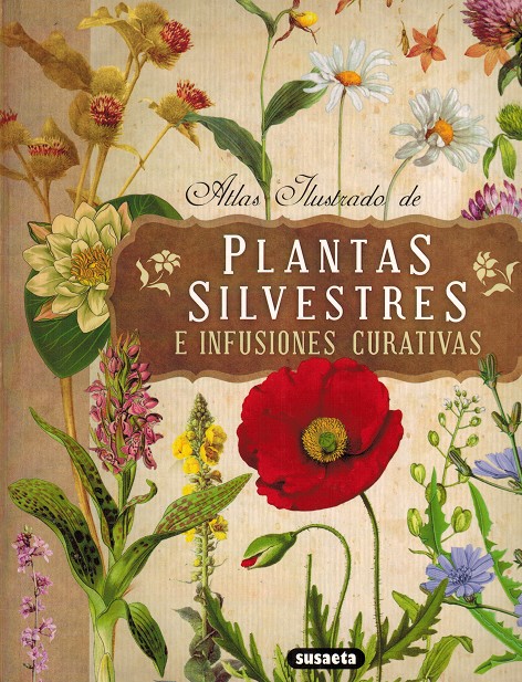 Atlas ilustrado de plantas silvestres e infusiones curativas.