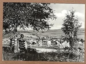 Alte Ansichtskarte/AK/Postkarte: Waffenrod-Hinterrod (Thür. Wald)