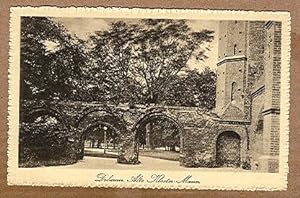 Alte Ansichtskarte/AK/Postkarte: Doberan Alte Kloster-Mauer