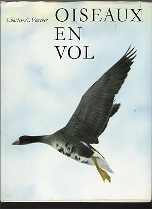 Oiseaux En Vol