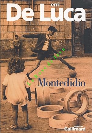 Montedidio. Traduit de l'Italien par Danièle Valin.