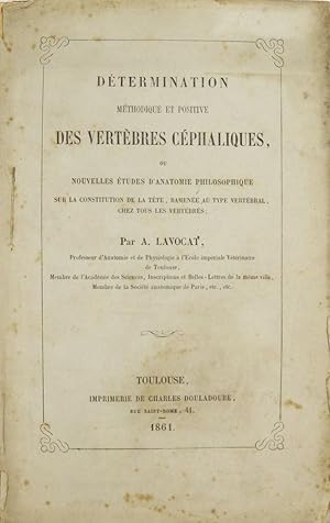 DÃ termination mÃ thodique et positive des vertÃ bres cÃ phaliques, ou nouvelles Ã tudes d'anatom...