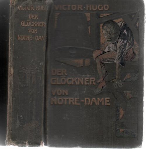 Der Glöckner von Notre-Dame: Nachw. v. Arthur v. Riha (detebe)