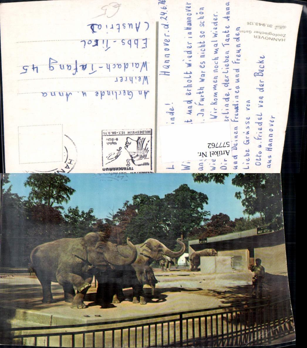 577762 Hannover Zoologischer Garten Zoo Elefanten Tiere