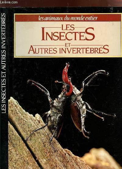 Les Insectes Et Autres Invertebres