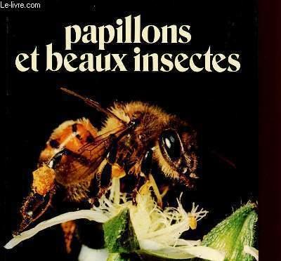 PAPILLONS ET BEAUX INSECTES - SCIAKY