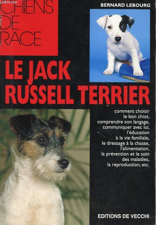 JACK RUSSEL TERRIER