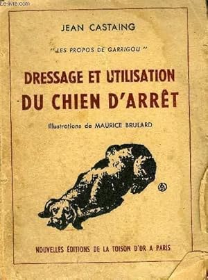 dressage chien 974