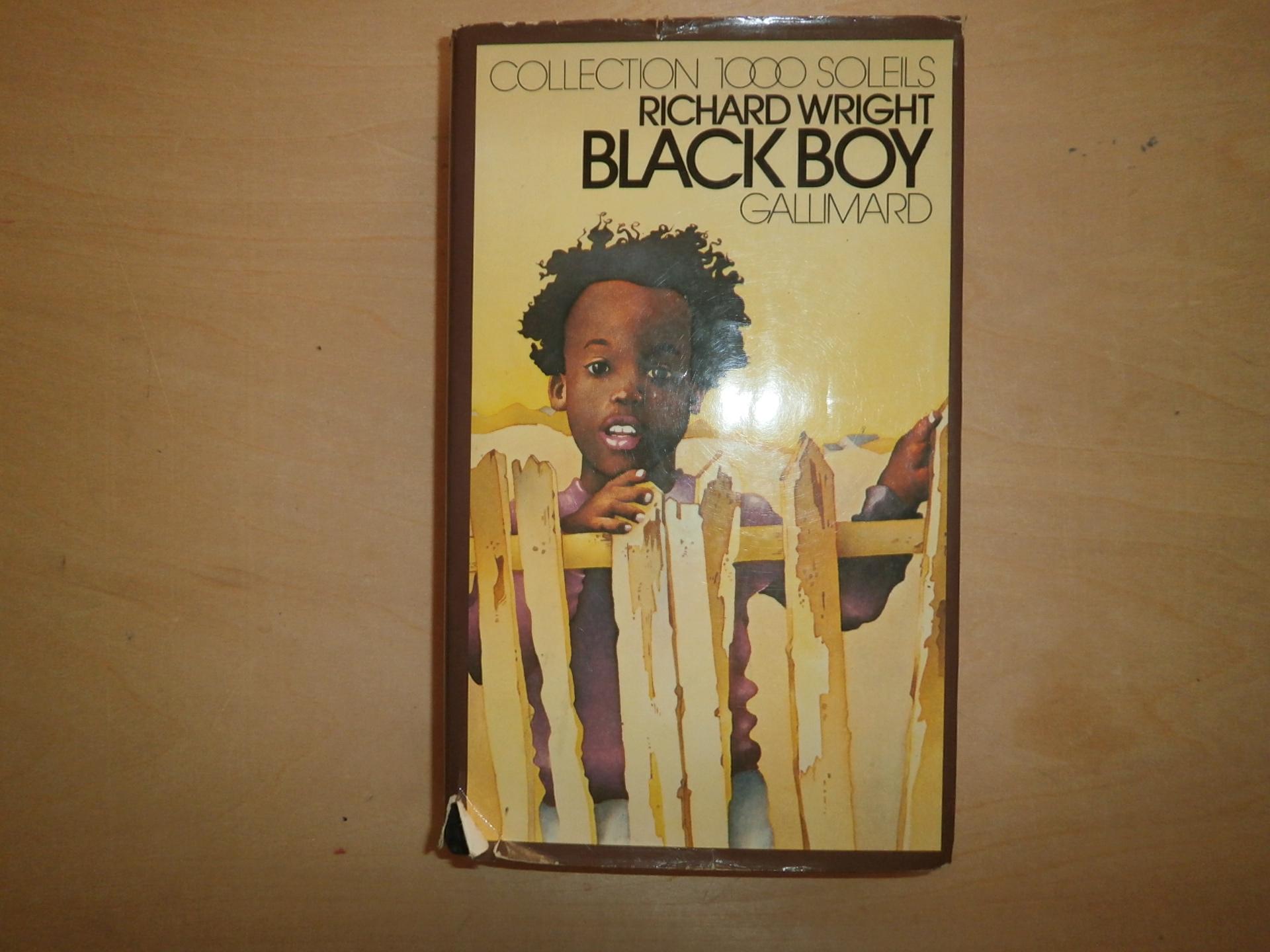 a discussion of the reviews of richard wrights native son a discussion of the reviews of richard wrights native son