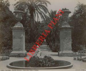 Palermo: Giardino Botanico, viale delle palme e fontana.