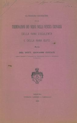 Ulteriori ricerche sulle terminazioni dei nervi nella vescica urinaria della rana esculenta e del...