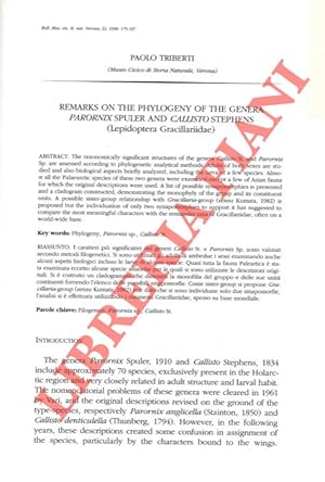 Remarks on the phylogeny of the genera Parornix Spuler and Callisto Stephens (Lepidoptera Gracill...