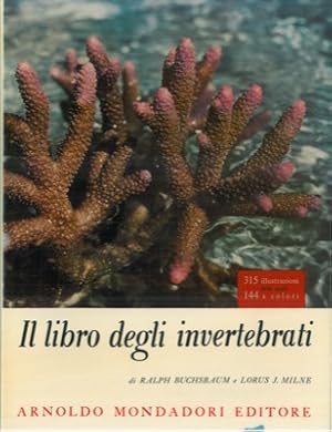 Il libro degli invertebrati.