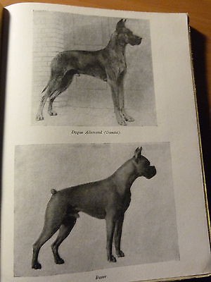 Chiens de berger, de garde et d'utilité-Elevage-Dressage-Utilisation-1953