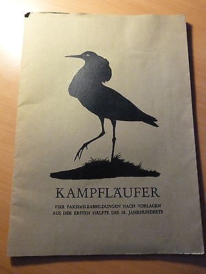 Kampfläufer-Oiseaux-Ornithologie-4 vues en fac-similé du XVIIIe-Combattant varié
