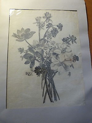 Dessin original au crayon-Un bouquet de fleurs-Non signé