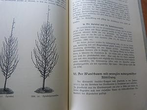 Arboriculture fruitière. Taille des arbres. Der Obstbaumschnitt