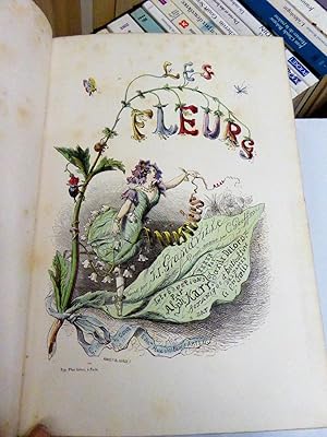 Les Fleurs animées (en 2 parties)