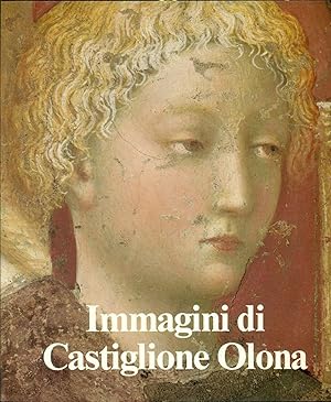 IMMAGINI DI CASTIGLIONE OLONA.,