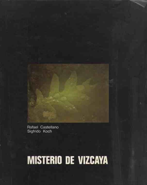 Misterio de Vizcaya . - Castellano de la Puente, Rafael (textos) / Koch Arruti, Sigfrido (fotografía)