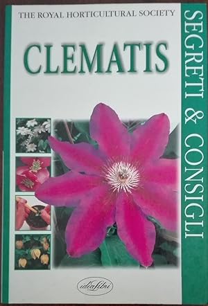 Clematis