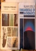 Fundamentals of mathematics