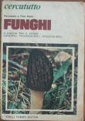 Funghi