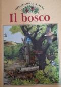 Esploriamo la Natura - Il bosco