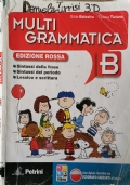 Multi Grammatica B