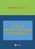 Guida ai Principi Contabili Internazionali