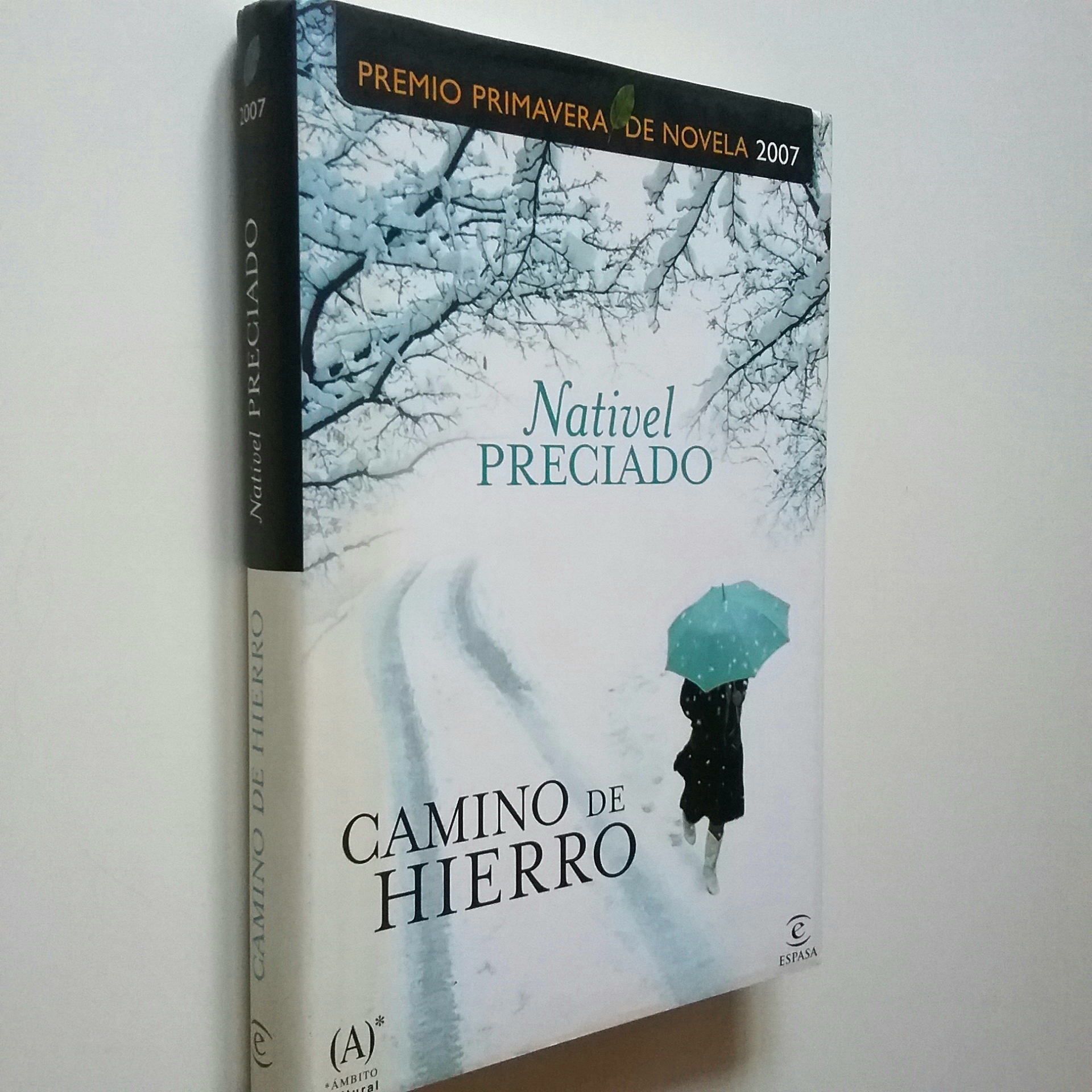 Camino de hierro (Primera edición - Nativel Preciado
