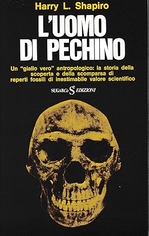 L'uomo di Pechino